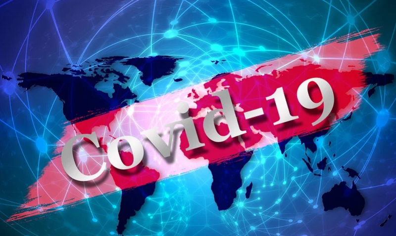 Año 1 D.P. (Después de la Pandemia)